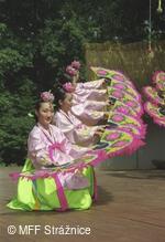 Mezinárodní folklorní festival Strážnice